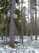 P1075800-