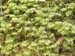 P1085838-