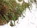 P1085839-