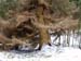 P1085856-