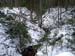P1085871-