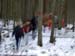 P1085878-