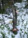 P1085879-