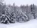 P1075647-