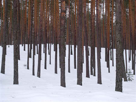 P3120383-