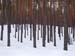 P3120383-