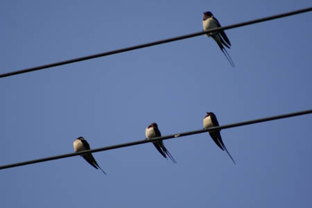 IMG_1713C