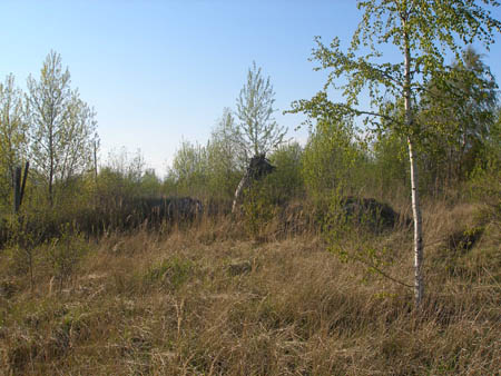 P5160078