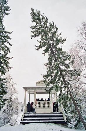 palmse-2005-06