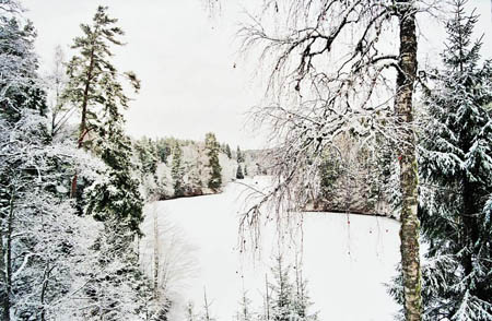 palmse-2005-08