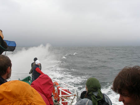 P5200202