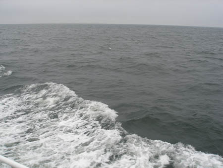 P5200204