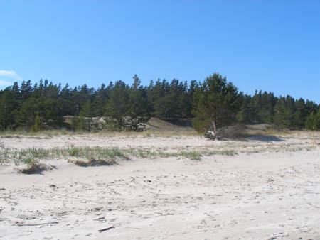 P5200221