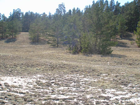 P5200225