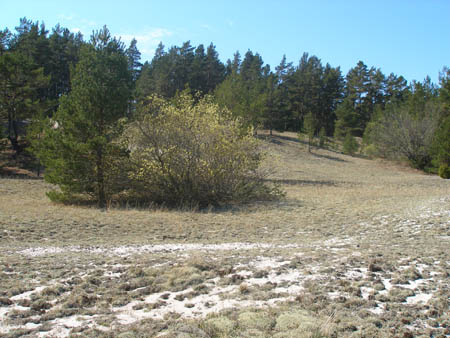 P5200226