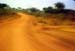 P2137982-