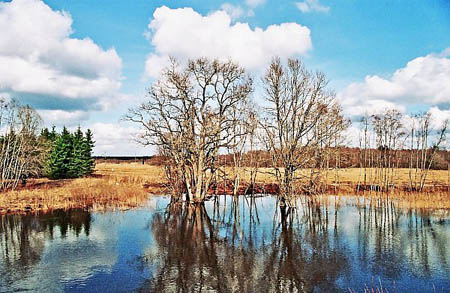 soomaa-2006-13