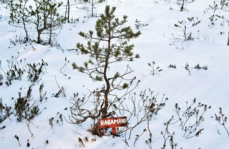 soomaa-2006-06
