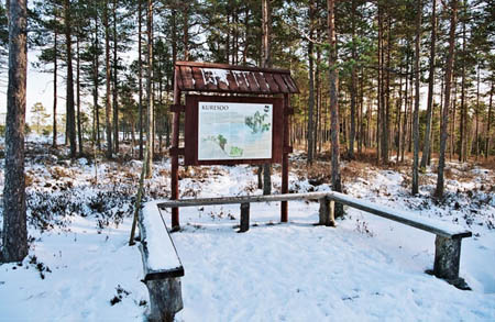 soomaa-2006-11