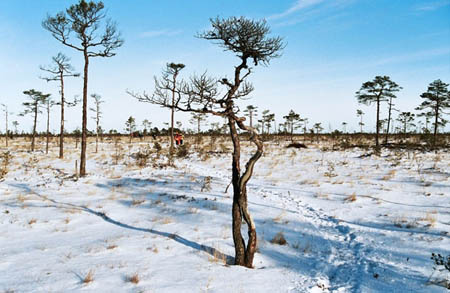 soomaa-2006-12