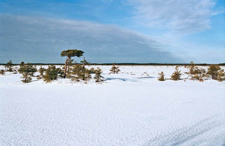 soomaa-2006-17