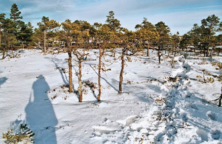 soomaa-2006-21