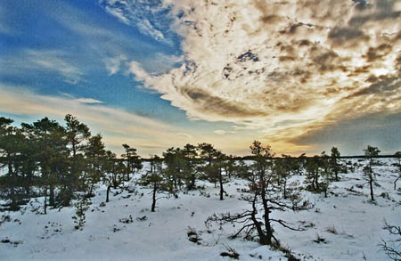 soomaa-2006-23