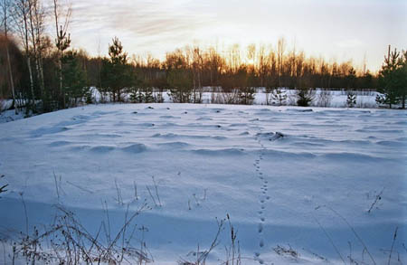 soomaa-2006-34