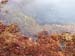 P4075508-