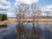 P4085610-