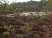 P4296516-