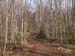P4296555-