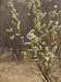 P4296583-