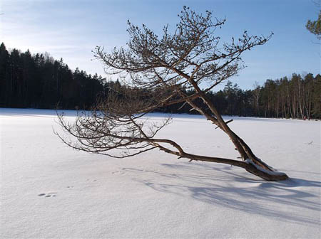 P1286852-