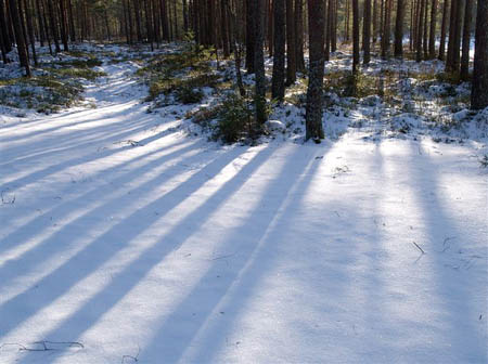 P1286869-