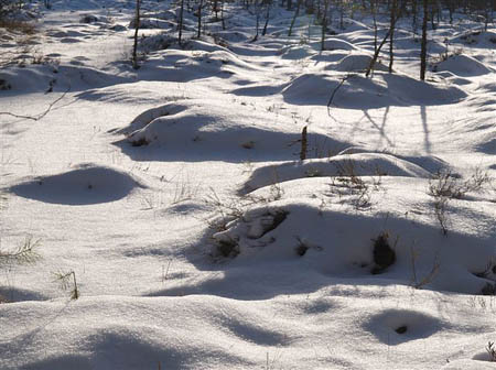 P1286872--
