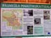 P1286756-