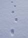 P1286803-