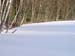P1286804-