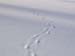 P1286808-