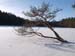 P1286852-