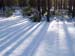 P1286869-