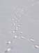 P1286890-