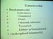 P3203855-
