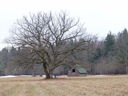 P1136096-