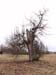 P1146265-