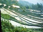 P1155049-