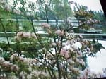 P1155058-