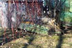 Matsalu 25 03 2007 166 v