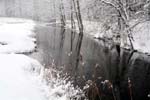 IMG_0737-